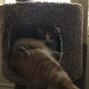 Meet your Posher, Laura